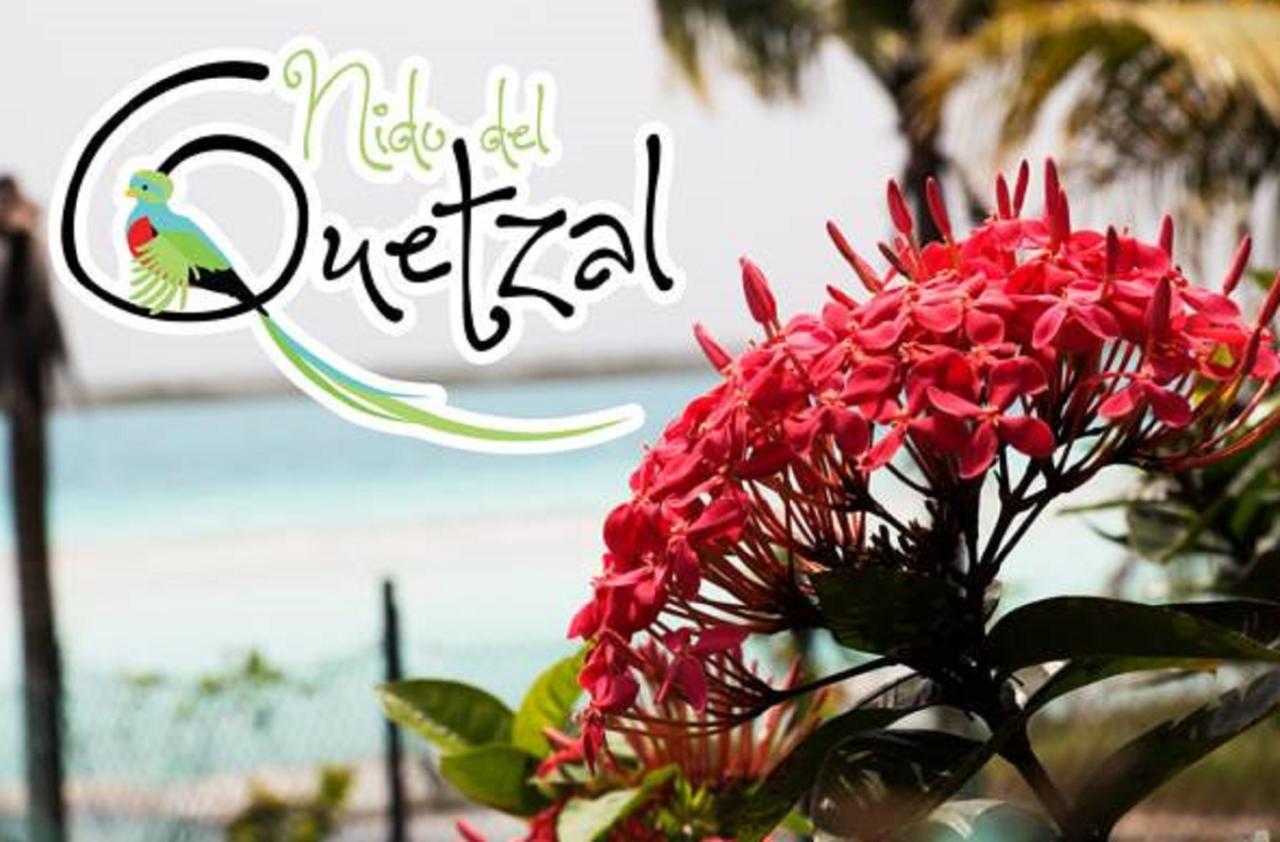 Nido Del Quetzal Hotel บากาลาร์ ภายนอก รูปภาพ